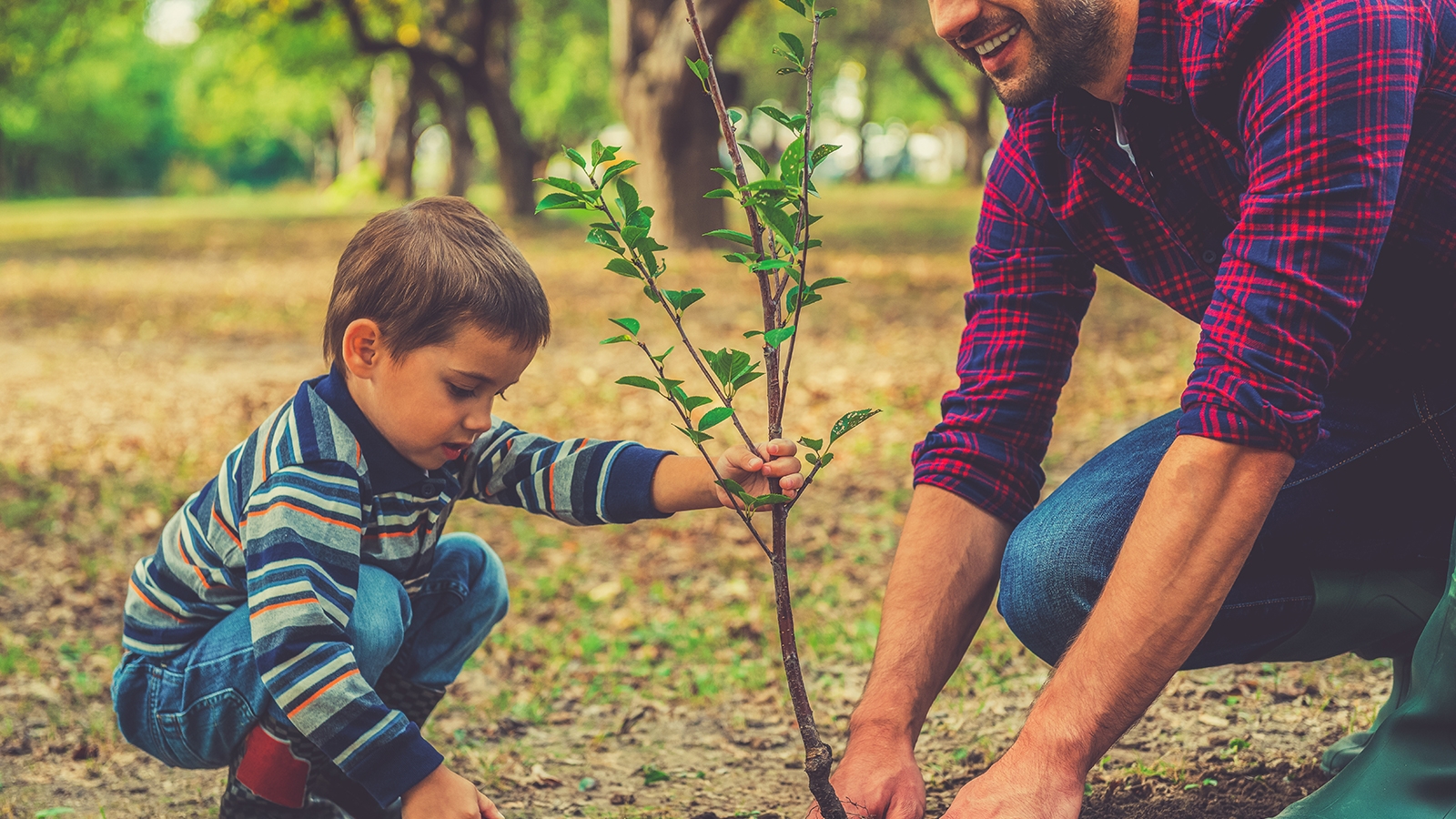 Father and son planting a tree