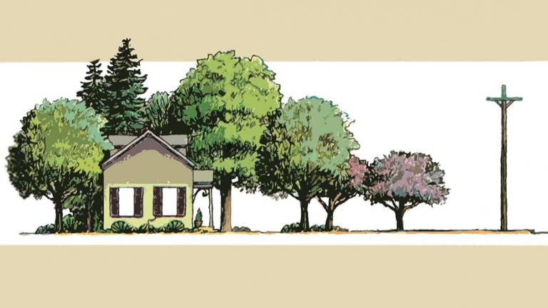 Illustration of trees near a power line